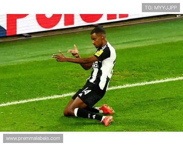 枪手夏窗回顾:本有机会将引援重心转向法国球员 枪手夏窗回顾:本有机会将引援重心转向法国球员