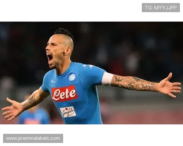 哈姆西克回忆2011年差点转会米兰 那不勒斯是我的第二故乡 哈姆西克回忆2011年差点转会米兰 那不勒斯是我的第二故乡