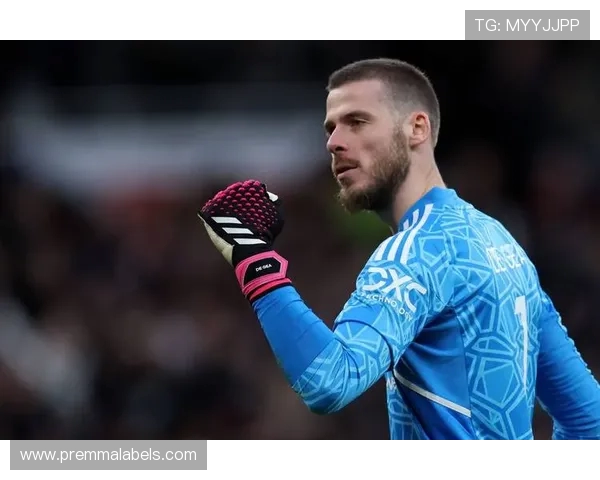 德赫亚:在意大利踢球是梦想 曼联生涯很难与家人团聚 德赫亚:在意大利踢球是梦想 曼联生涯很难与家人团聚