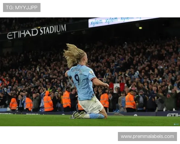 雷特吉同样失点后破门称想看哈兰德是否有些生气 雷特吉同样失点后破门称想看哈兰德是否有些生气