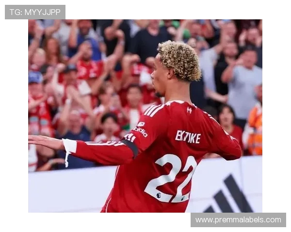 埃基蒂克送助攻麦卡迎国家队40场里程碑利物浦双星闪耀国际赛场 埃基蒂克送助攻麦卡迎国家队40场里程碑利物浦双星闪耀国际赛场