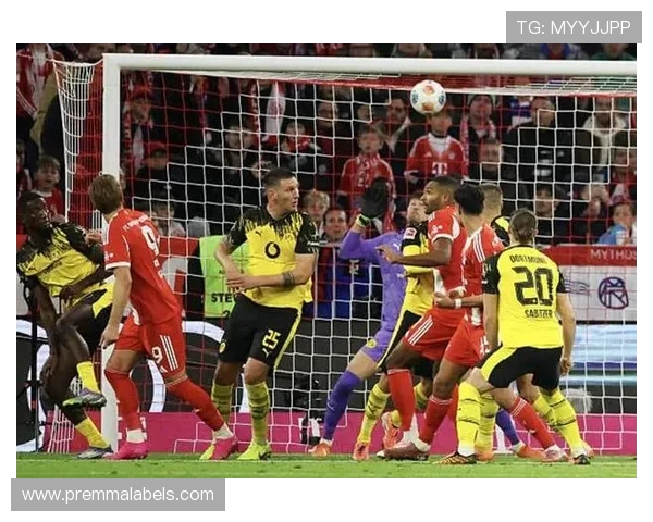 裁判确认凯恩与吉拉西接触未达到犯规标准比赛继续进行 裁判确认凯恩与吉拉西接触未达到犯规标准比赛继续进行