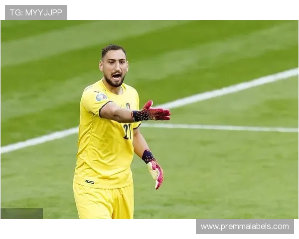 维拉蒂谈多纳鲁马离开PSG感到失落并批评意大利足球急功近利 维拉蒂谈多纳鲁马离开PSG感到失落并批评意大利足球急功近利