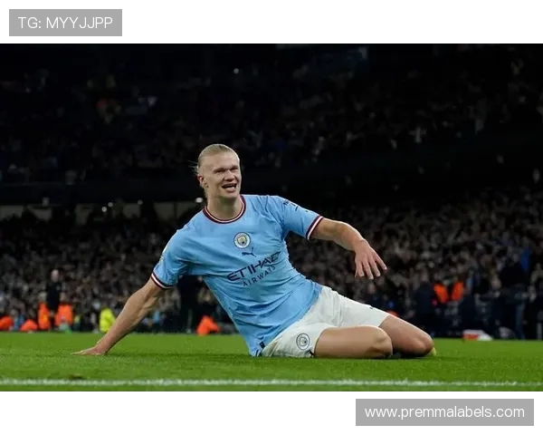 德转最贵阵容重磅揭晓皇萨三星领衔哈兰德穆西亚拉成为全场焦点战 德转最贵阵容重磅揭晓皇萨三星领衔哈兰德穆西亚拉成为全场焦点战