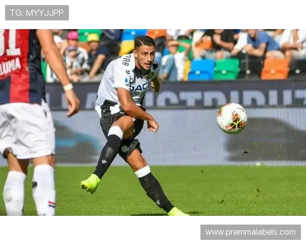 费利克斯科雷亚里尔爆发尤文培养核心成型未来之星全面绽放实力崛起 费利克斯科雷亚里尔爆发尤文培养核心成型未来之星全面绽放实力崛起